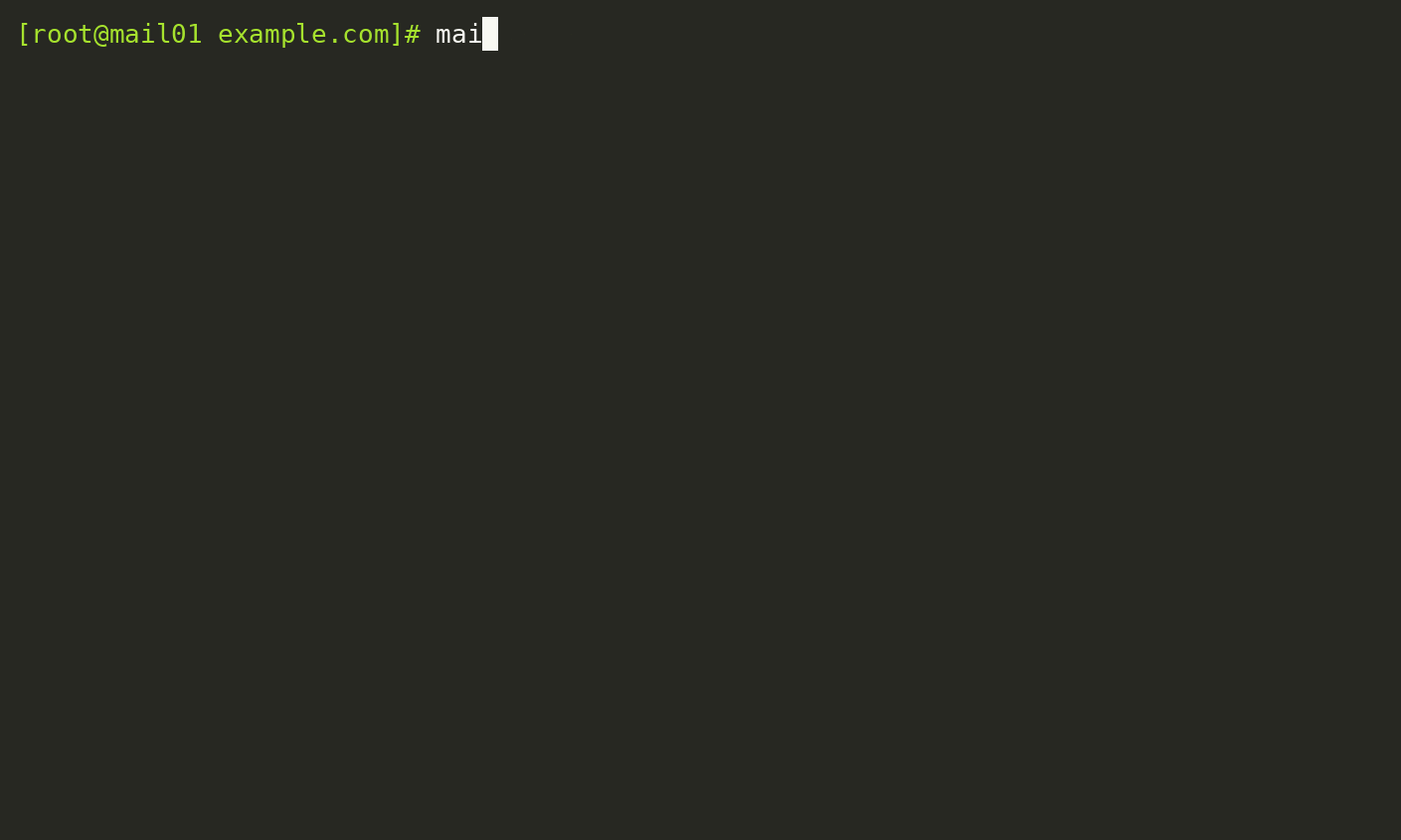 MailShrink Terminal Demo